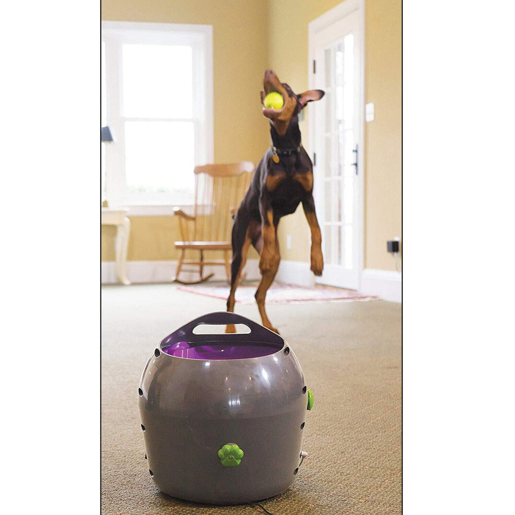 Petsafe Automatic Ball Launcher - Dog Outdoor Tennis Ball Thrower Pty19