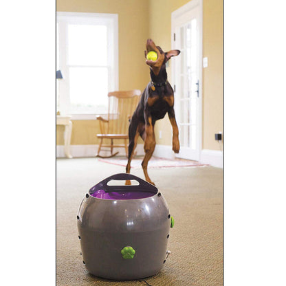Petsafe Automatic Ball Launcher - Dog Outdoor Tennis Ball Thrower Pty19