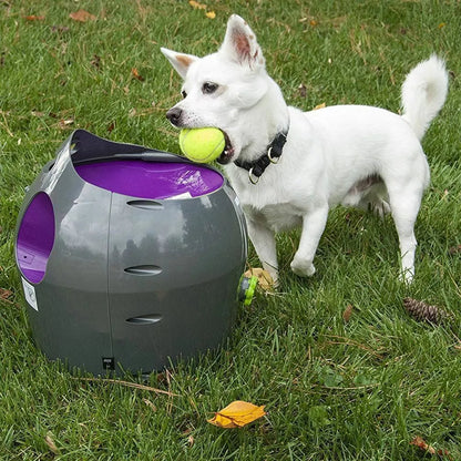 Petsafe Automatic Ball Launcher - Dog Outdoor Tennis Ball Thrower Pty19